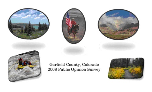 2008 public opinion survey graphic.