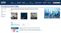 County Business Patterns website decorative image. 