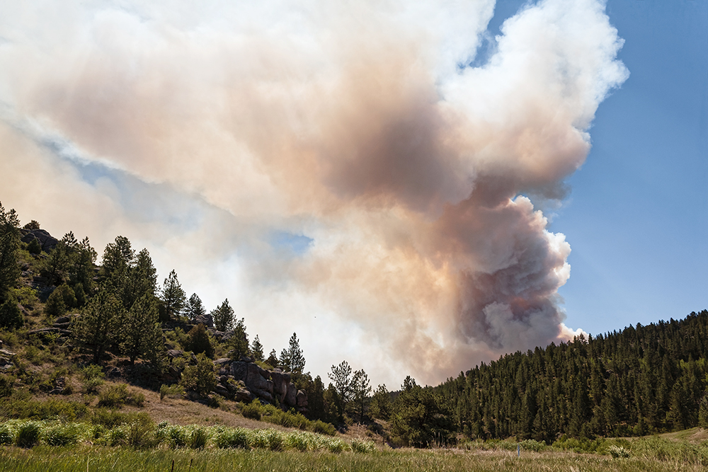 Smoke plume rises from a wildfire.