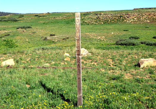 A wooden sign marker for the Old Ute Trail.