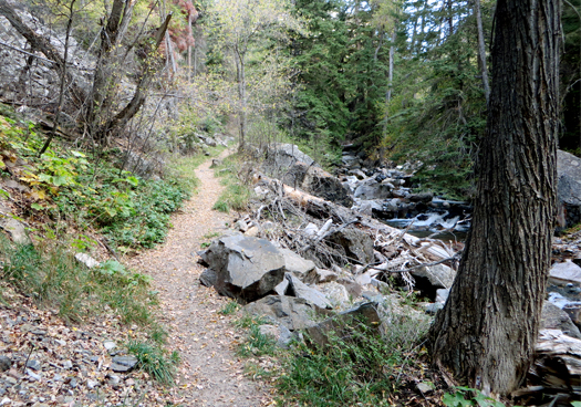 Path along East Elk Creek near New Castle, Colorado.