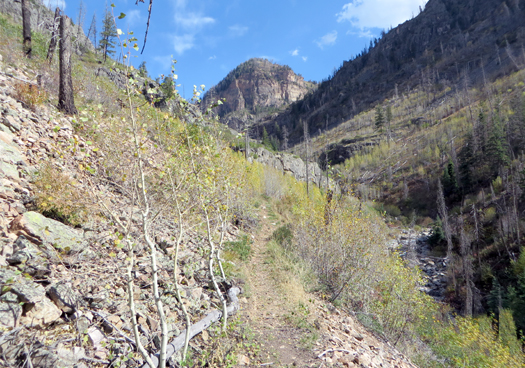 A hillside trail in Garfield County.