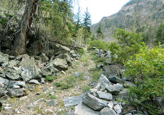 Old dirt road that leads to the site of a former saw mill near New Castle, CO.