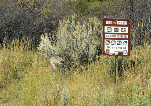 A sign announcing seasonal closures from Dec. 1 to April 30.