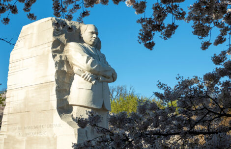 Martin Luther King's memorial in Washington. DC framed by cherry blossoms.