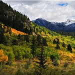 County opposes proposed SEC investment rule