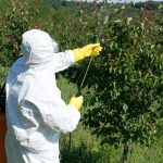 Pesticide application workshop