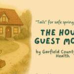 ‘Tails’ for safe spring cleaning: how to avoid hantavirus from mice