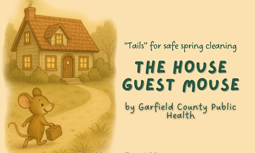 ‘Tails’ for safe spring cleaning: how to avoid hantavirus from mice