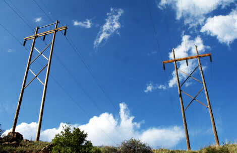 Wooden power poles hold up transmission lines.