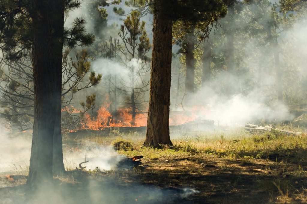 Stage 1 fire restrictions resume in Garfield County