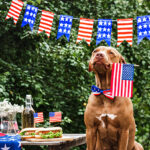 Garfield County closures on July 3 to observe Independence Day
