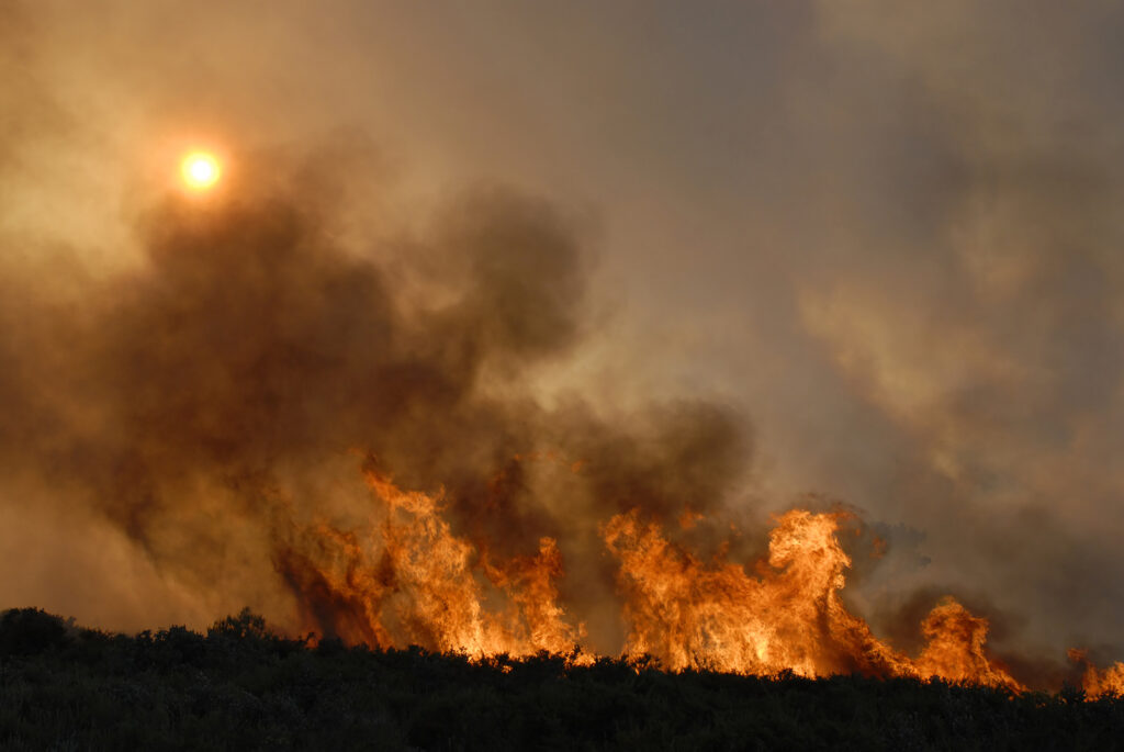 Protecting outdoor workers from wildfire smoke