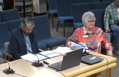Garfield County Libraries Executive Director Abraham Korah and library board President Adrian Rippy-Sheehy speak to the Board of County Commissioners.