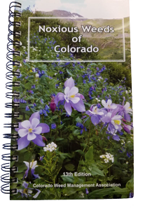 noxious weeds of colorado