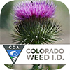 weeds app