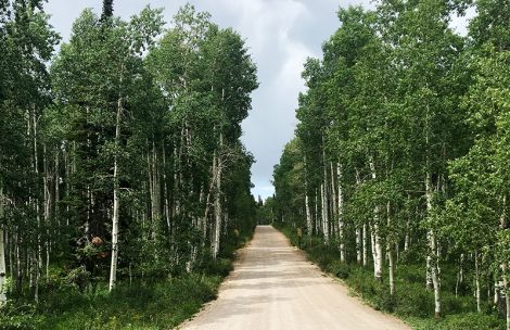 The Buford New-Castle Road north of New Castle, Colorado.