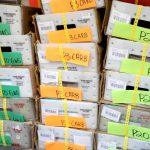 Ballots mailed to all active Garfield County voters