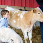 4-H youth development professional sought