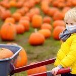 Thanksgiving closures