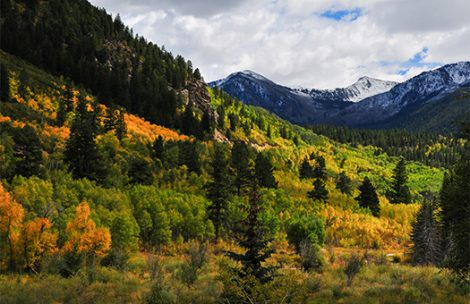 Public land on the Western Slope of Colorado.