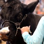 Garfield County CSU Extension celebrates busy 2021