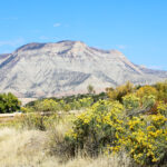 County approves Parachute revitalization plan