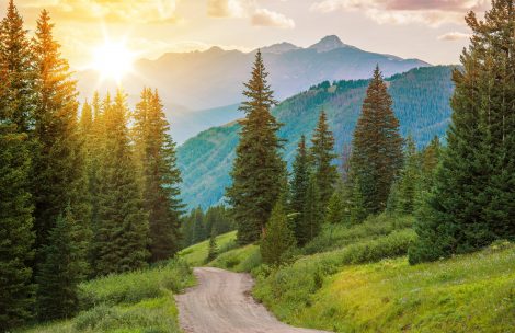 Mountain Landscape. Colorado Wilderness Backcountry Road.