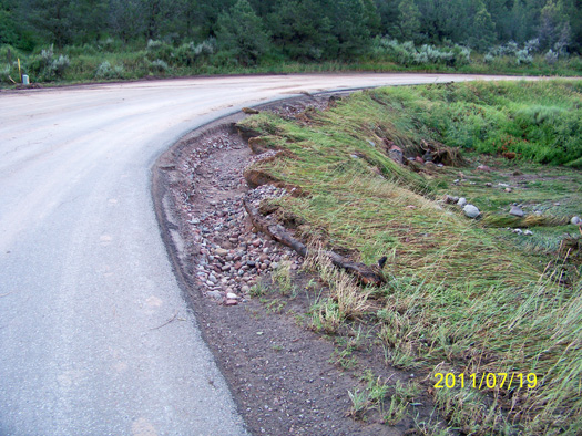 Flattened vegetation and rocks demonstrate the force of the harsh rain that fell Monday evening, cutting along the side of County Road 100.