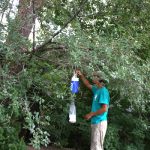 Take precautions during West Nile season