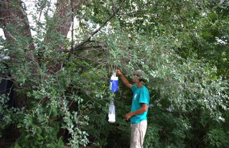 CDC light traps, like the one pictured here, are used in Garfield County to monitor mosquito counts and test for West Nile virus.