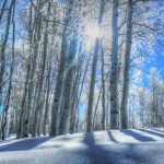 Fourmile Road to be closed above snowmobile parking area