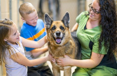 Kids picking a dog to adopt from the animal shelter.