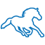 rodeo