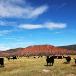 Garfield County backs West Slope meat producers