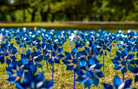 Pinwheels commemorating Child Abuse Prevention Month.