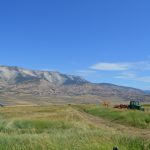 Noxious weed cost-share program available
