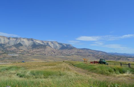 A lush farm field in Garfield County.