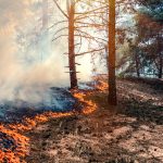 Avalanche Creek prescribed fire near Carbondale planned for April 24