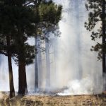 Prescribed fire planned northeast of El Jebel