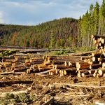 BLM seeks nominations for resource advisory councils