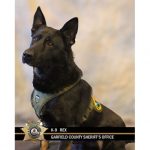 K-9 Rex performs all that is asked of him and more