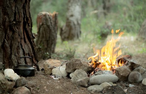 Primitive campfire near to an old tree trunk and a tea pot on the ground in the forest.