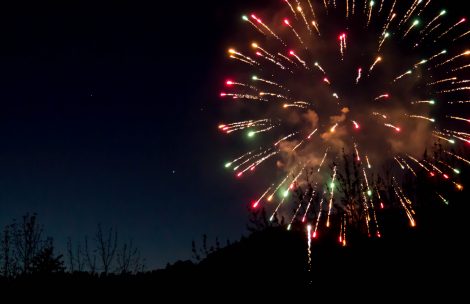 Multi-colored Veterans Day firework in Colorado.