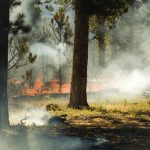Stage 1 fire restrictions begin Friday, June 18, 2021