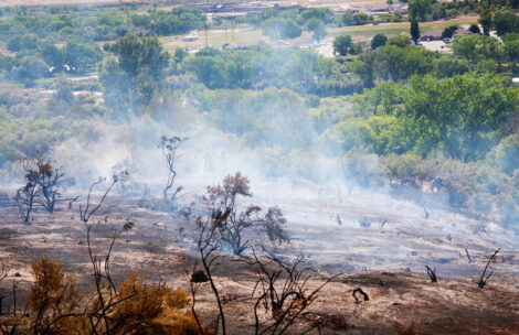 A hillside in Garfield County following a wildfire.