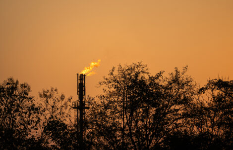 Refinery plant is burning gas at the flare tower, with silhouette shade on tree branch on foreground and orange sky as background.