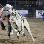Familiar faces returning to county’s fair board