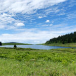 Meadow Lake being drained this fall for dam work