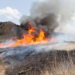 Prescribed burn planned at airport
